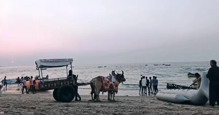 How to Travel from Dwarka to Shivrajpur Beach